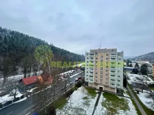 Prodej bytu 3+1, Vsetín, Luh, 64 m2