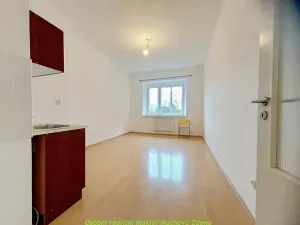 Pronájem bytu 1+kk, Praha - Michle, Jihlavská, 24 m2