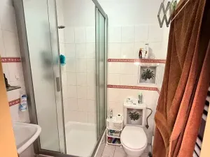 Prodej bytu 1+1, Dobříš, Březová, 31 m2