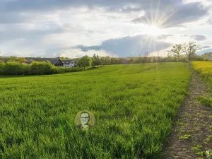 Prodej pozemku pro bydlení, Česká Skalice, 30928 m2