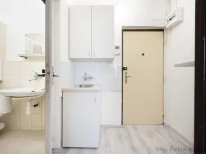 Pronájem bytu 1+kk, Brno - Staré Brno, Veletržní, 19 m2