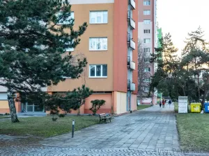 Pronájem bytu 1+kk, Brno - Staré Brno, Veletržní, 19 m2
