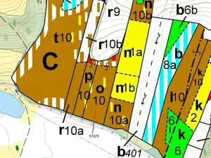 Dražba lesa, Přílepy, 7060 m2