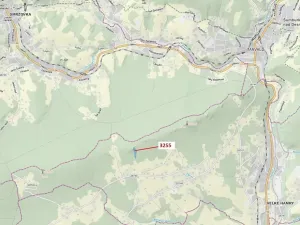 Dražba lesa, Velké Hamry, 6125 m2