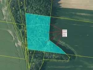 Dražba lesa, Peč, 7902 m2