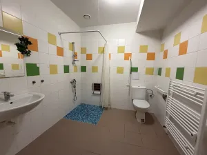 Pronájem bytu 1+kk, Velké Heraltice, Zahradní, 32 m2