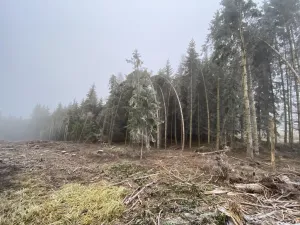 Prodej lesa, Městečko Trnávka - Lázy, 32904 m2