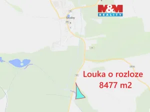Prodej louky, Manětín - Stvolny, 8477 m2