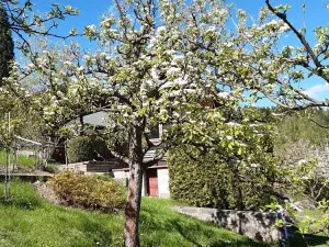 Prodej - jiné, Desná, Sokolská, 18 m2