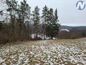 Prodej lesa, Lčovice, 759 m2