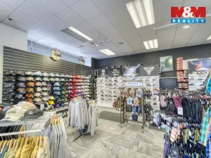 Pronájem obchodního prostoru, Plzeň - Vnitřní Město, Zbrojnická, 598 m2