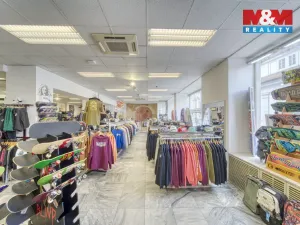 Pronájem obchodního prostoru, Plzeň - Vnitřní Město, Zbrojnická, 598 m2