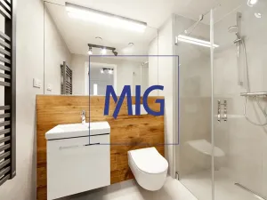 Pronájem bytu 2+kk, Brno, Cejl, 48 m2