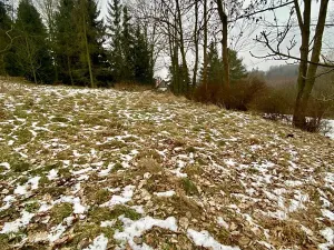 Prodej pozemku pro bydlení, Pertoltice pod Ralskem, 1283 m2