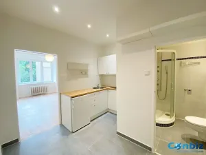 Pronájem bytu 1+1, Praha - Karlín, Peckova, 29 m2