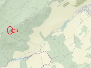 Prodej podílu lesa, Zálezly, 799 m2