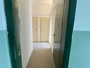 Pronájem bytu 1+1, Plzeň, Alešova, 50 m2