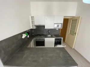 Pronájem bytu 1+1, Plzeň, Alešova, 50 m2