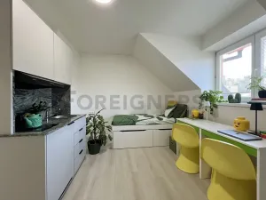 Pronájem pokoje, Praha - Libeň, Kotlaska, 18 m2