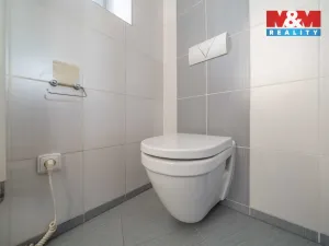 Pronájem bytu 1+1, Plzeň - Východní Předměstí, 44 m2