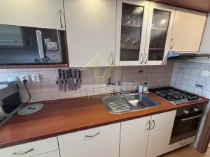 Pronájem bytu 2+1, Plzeň, Skupova, 65 m2