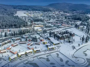 Prodej bytu 1+kk, Lipno nad Vltavou, 45 m2