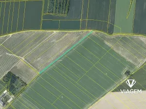 Prodej podílu pole, Dolní Životice, 315 m2