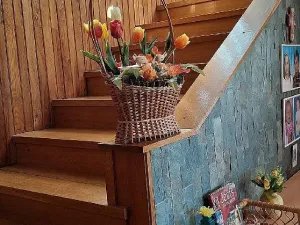 Prodej rodinného domu, Boršice, 280 m2