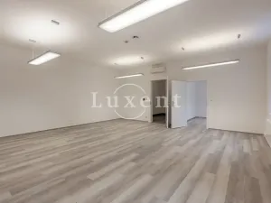 Pronájem bytu 3+1, Praha - Nové Město, Václavské náměstí, 156 m2