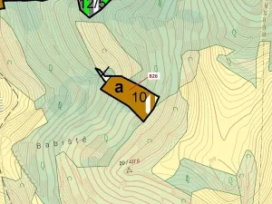 Dražba lesa, Zubrnice, 4610 m2