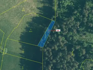 Dražba lesa, Zavlekov, 332 m2