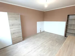 Pronájem bytu 1+1, Most, Růžová, 26 m2
