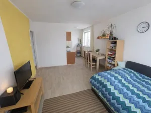 Prodej bytu 2+kk, Most, Josefa Ševčíka, 40 m2