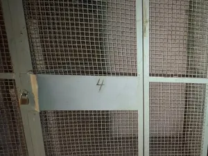 Pronájem bytu 1+kk, Sokolov, Mičurinova, 21 m2