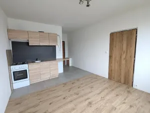 Pronájem bytu 1+1, Chomutov, Písečná, 36 m2