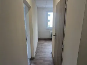 Pronájem bytu 2+1, Bílina, M. Švabinského, 55 m2