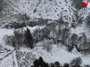 Prodej rybníku, Dolní Hořice - Pořín, 8552 m2