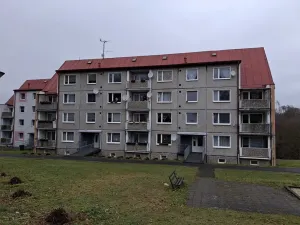 Prodej bytu 1+1, Plesná, Kostelní, 35 m2