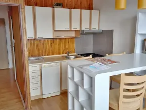 Prodej bytu 1+1, Jablonec nad Nisou, Havlíčkova, 47 m2