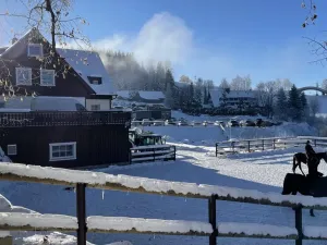 Prodej bytu 1+kk, Janov nad Nisou - Hrabětice, 24 m2