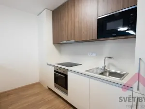 Pronájem bytu 2+kk, Praha - Žižkov, Hartigova, 67 m2