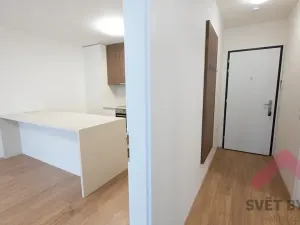 Pronájem bytu 2+kk, Praha - Žižkov, Hartigova, 67 m2