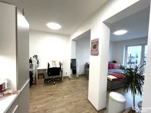 Pronájem bytu 2+kk, Olomouc, Andělská, 49 m2