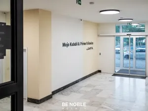 Pronájem bytu 1+kk, Praha - Vršovice, Kubánské náměstí, 21 m2