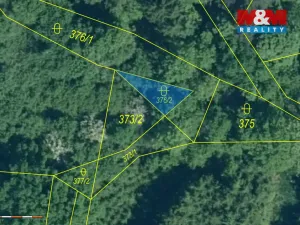 Prodej lesa, Kolinec - Buršice, 9917 m2