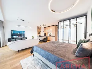 Pronájem bytu 1+kk, Brno, Nové sady, 54 m2