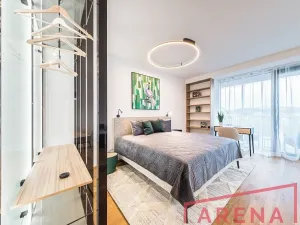 Pronájem bytu 1+kk, Brno, Nové sady, 54 m2