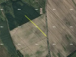 Prodej pole, Dubňany, 3325 m2