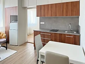 Pronájem bytu 2+kk, Brno, Herčíkova, 34 m2