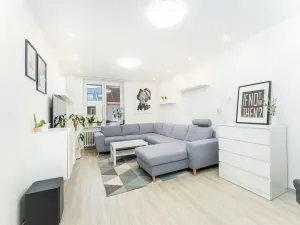 Prodej bytu 2+1, Hradec Králové - Pražské Předměstí, U Koruny, 60 m2